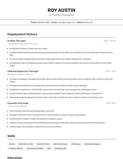 Resume example 2