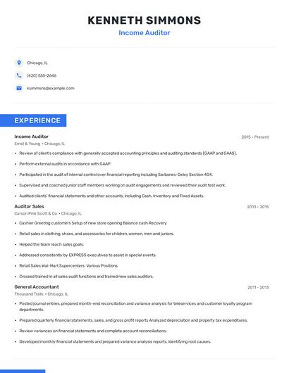 Income Auditor Resume