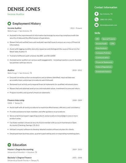 Income Auditor Resume