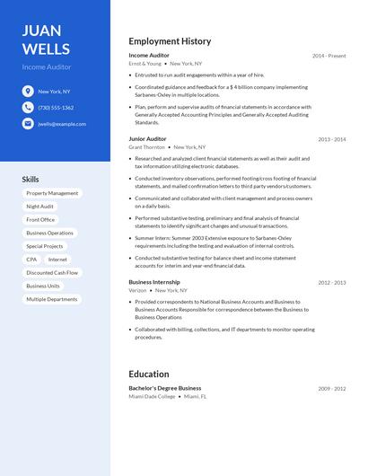 Income Auditor Resume