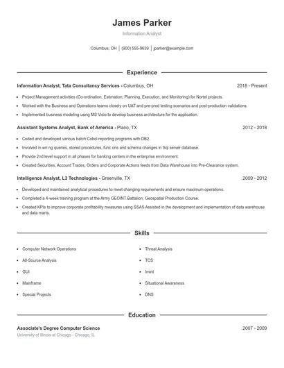 Information Analyst Resume