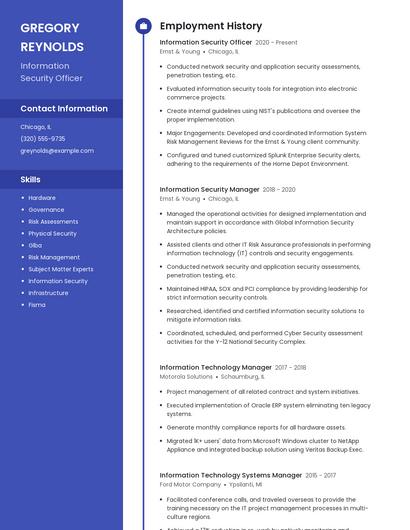 Resume example 4