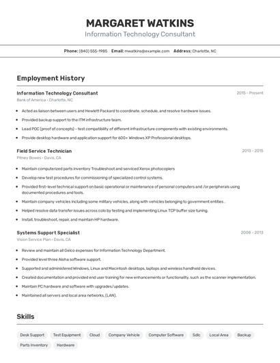 Resume example 2