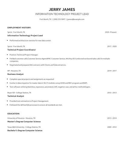 Information Technology Project Lead Resume