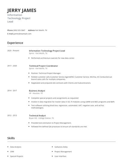 Information Technology Project Lead Resume
