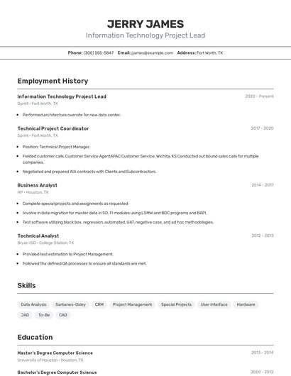 Information Technology Project Lead Resume