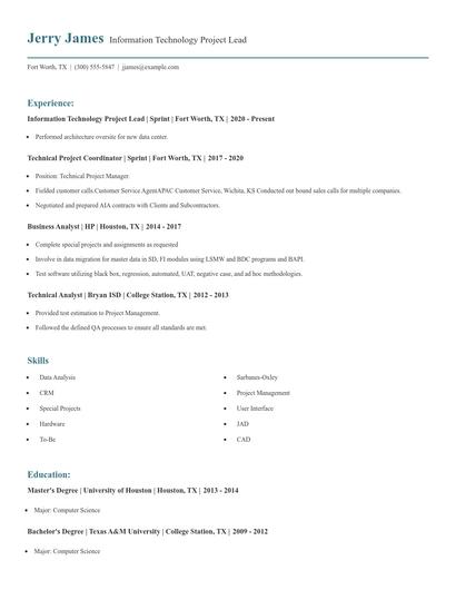 Information Technology Project Lead Resume