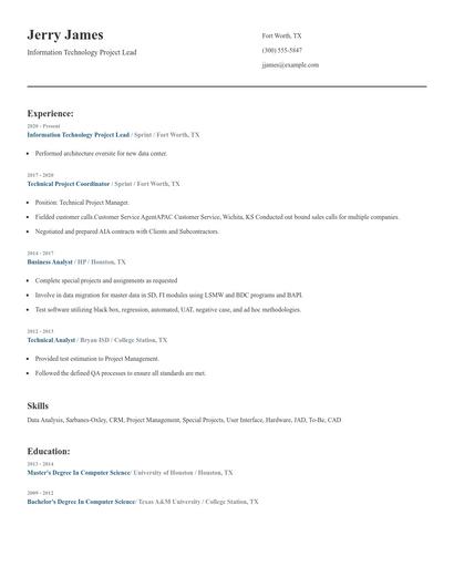 Information Technology Project Lead Resume