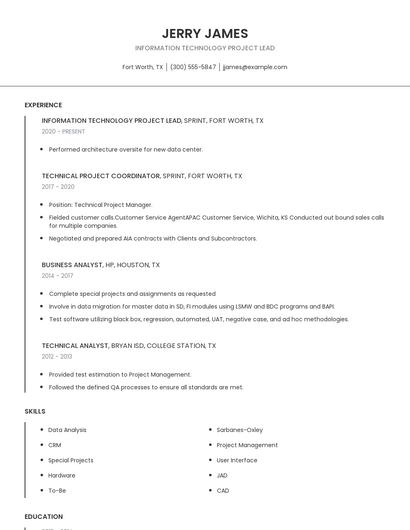 Information Technology Project Lead Resume