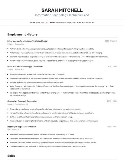 Resume example 2