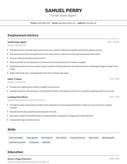 Inside Sales Agent Resume