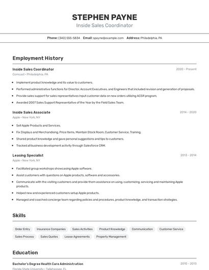 Resume example 2
