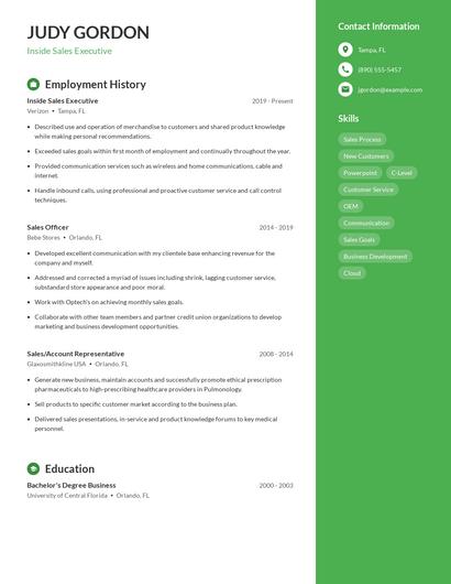 Inside Sales Executive Resume