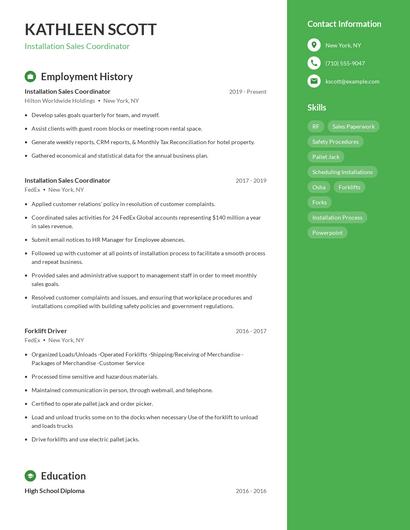 Resume example 4