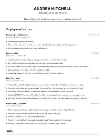 Resume example 2