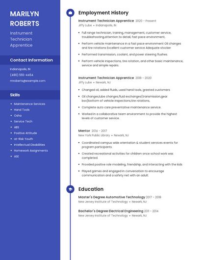 Resume example 4