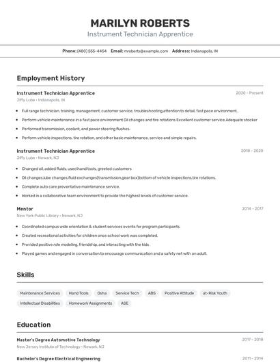 Resume example 2
