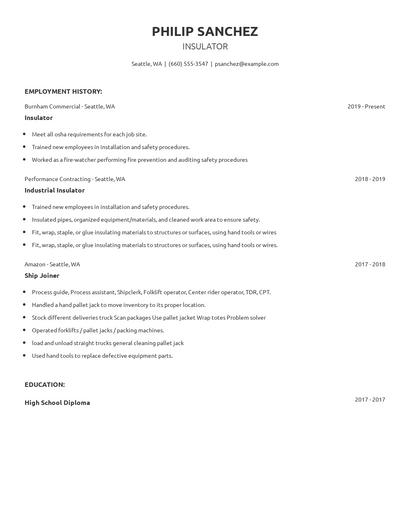 Insulator Resume