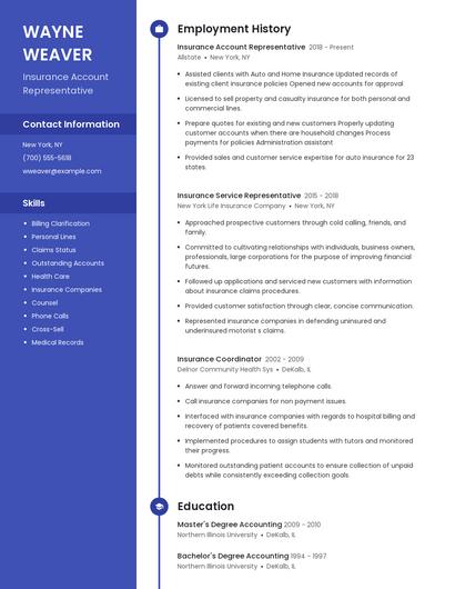 Insurance Account Representative Resume