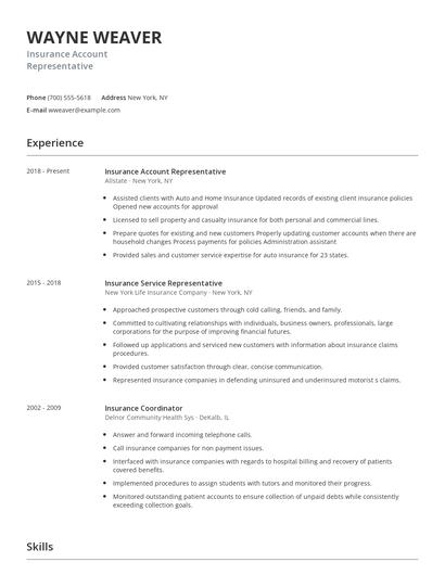 Insurance Account Representative Resume