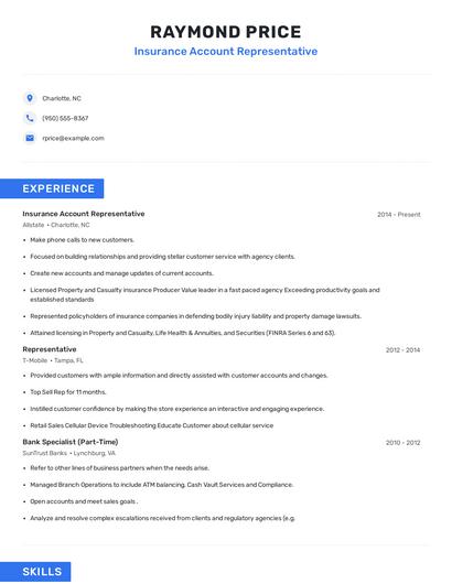 Insurance Account Representative Resume