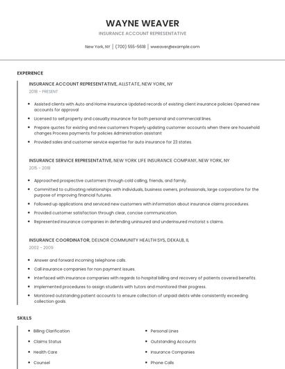 Insurance Account Representative Resume