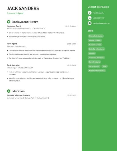 Resume example 4