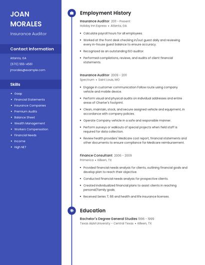 Insurance Auditor Resume