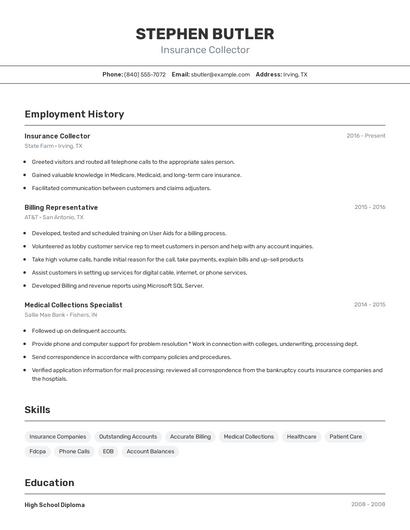 Insurance Collector Resume