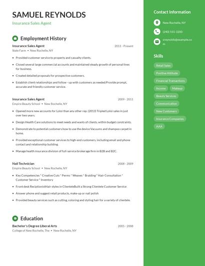 Resume example 4