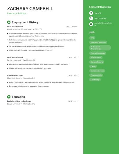 Insurance Solicitor Resume