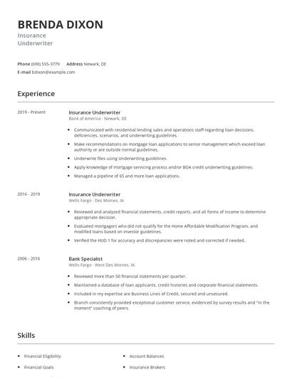 Insurance Underwriter Resume
