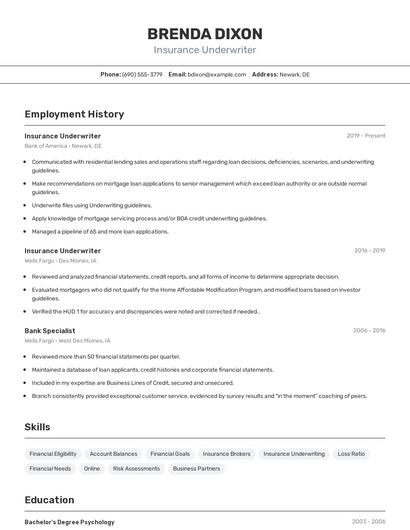 Insurance Underwriter Resume