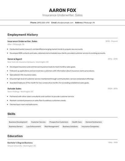 Insurance Underwriter, Sales Resume