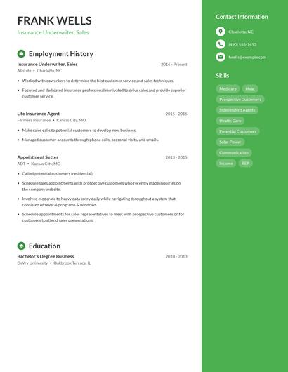 Insurance Underwriter, Sales Resume