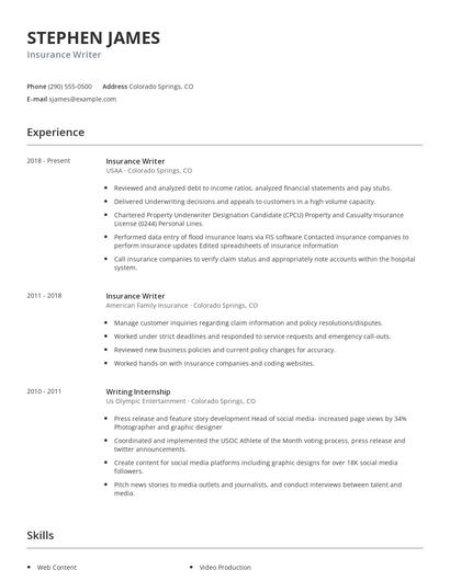 Insurance Writer Resume