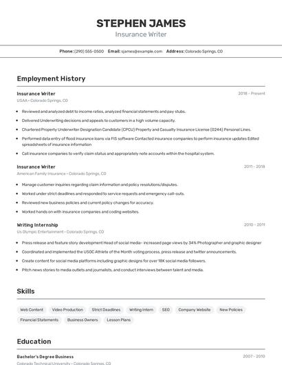 Insurance Writer Resume