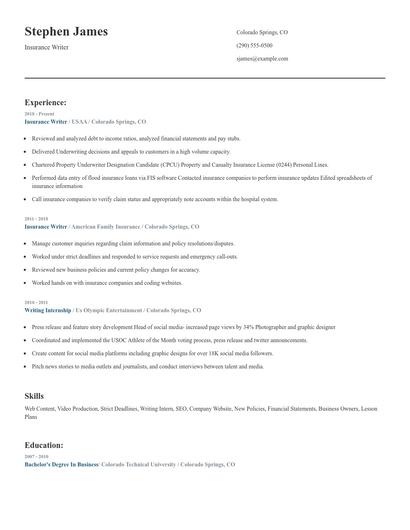 Insurance Writer Resume