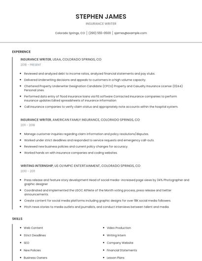 Insurance Writer Resume