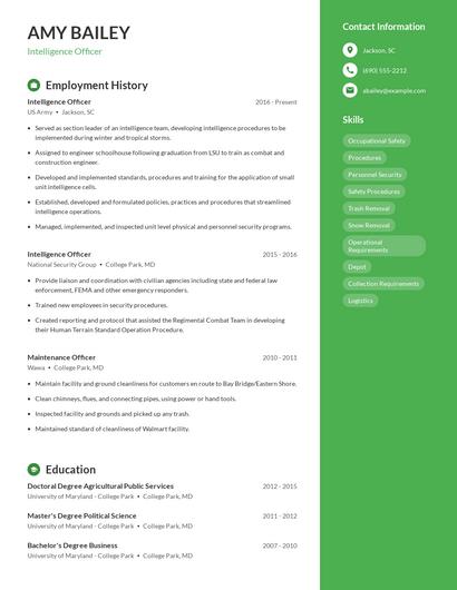 Resume example 4