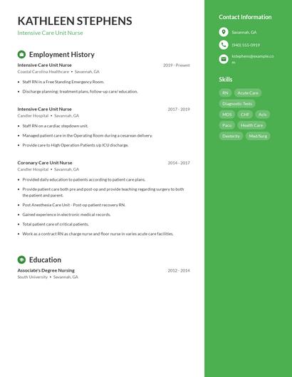 Resume example 5