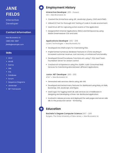 Interactive Developer Resume