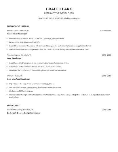 Interactive Developer Resume