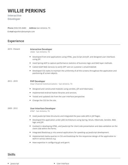 Interactive Developer Resume