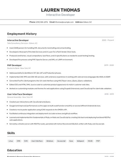 Interactive Developer Resume