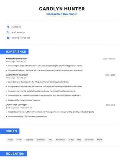 Interactive Developer Resume