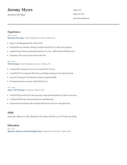 Interactive Developer Resume