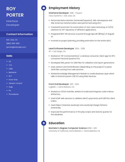 Interface Developer Resume