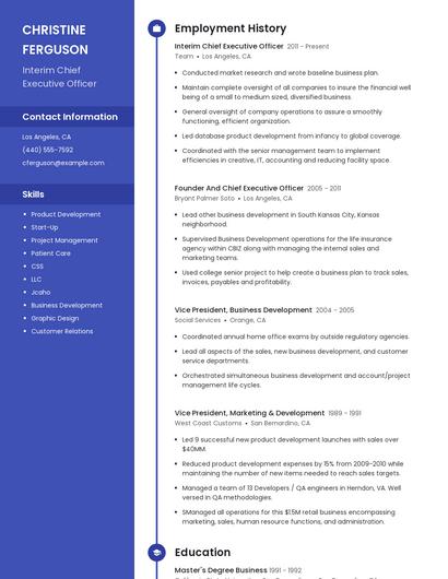 Interim Chief Executive Officer Resume