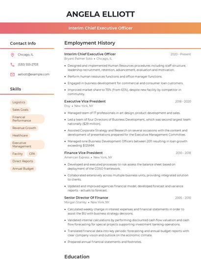 Interim Chief Executive Officer Resume
